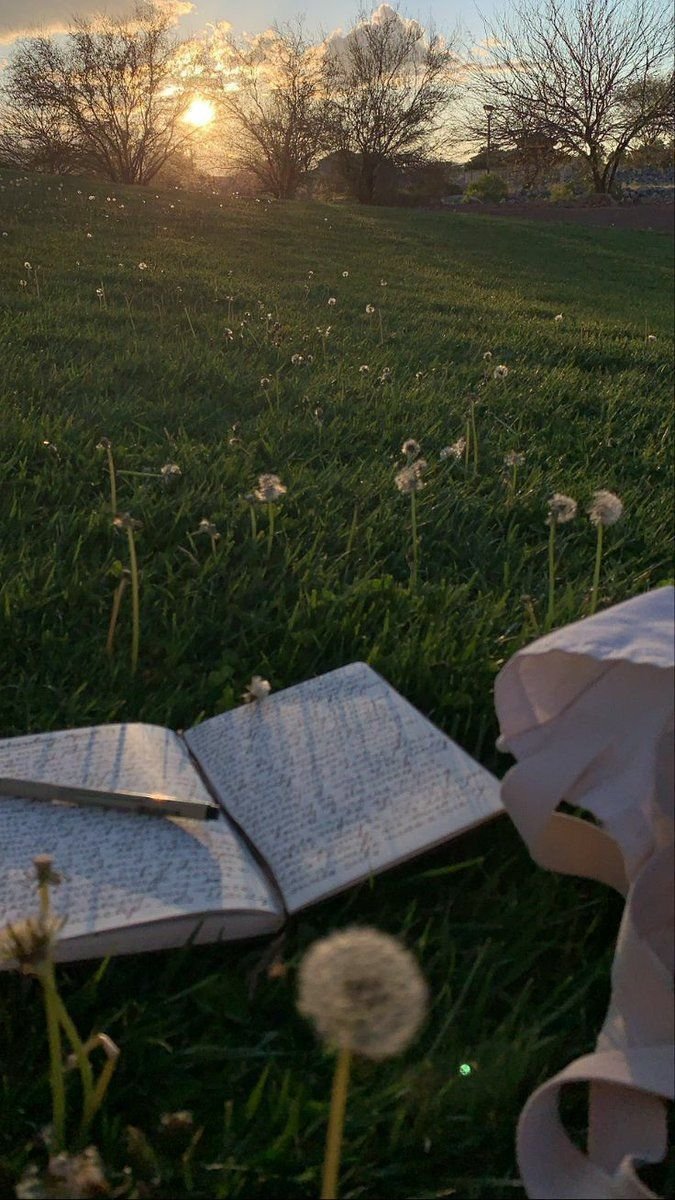 Picnic Download Wallpapers