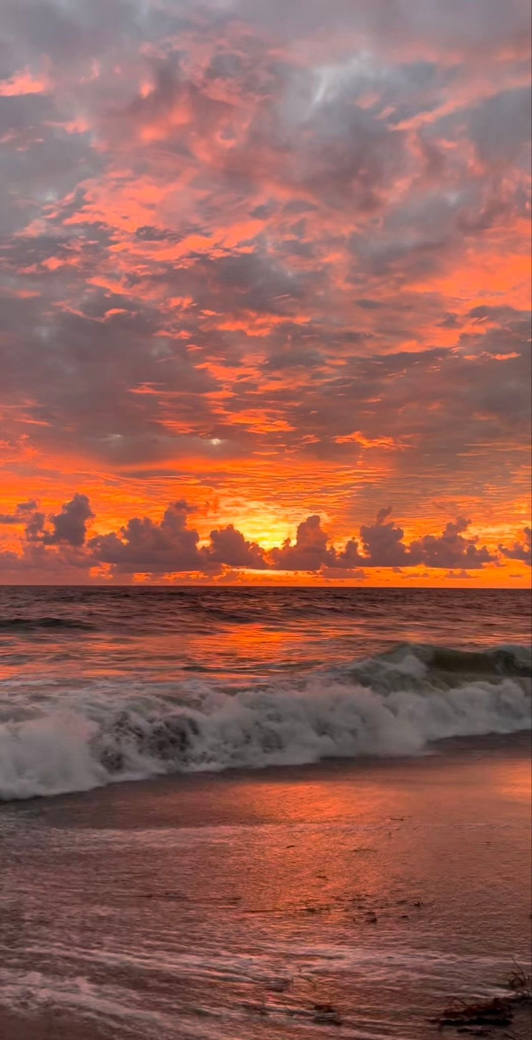 Ocean Download Wallpapers