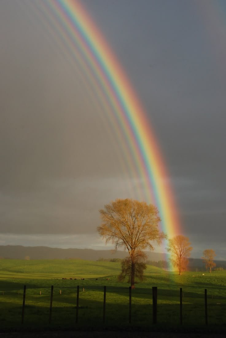 Rainbow Download Wallpapers