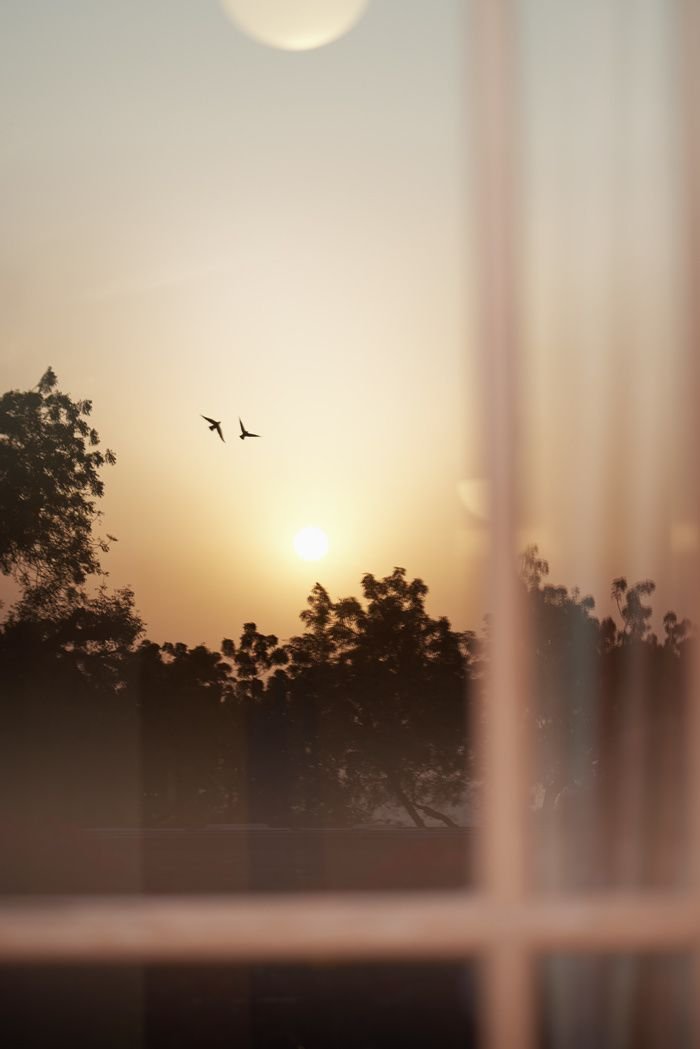 Sunkist Download Wallpapers