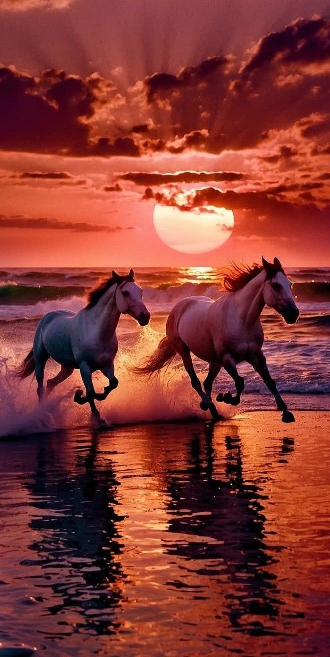 Horses Download Wallpapers