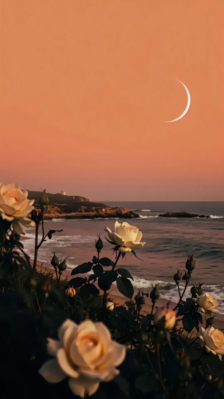 Flower by the beach Download Wallpapers