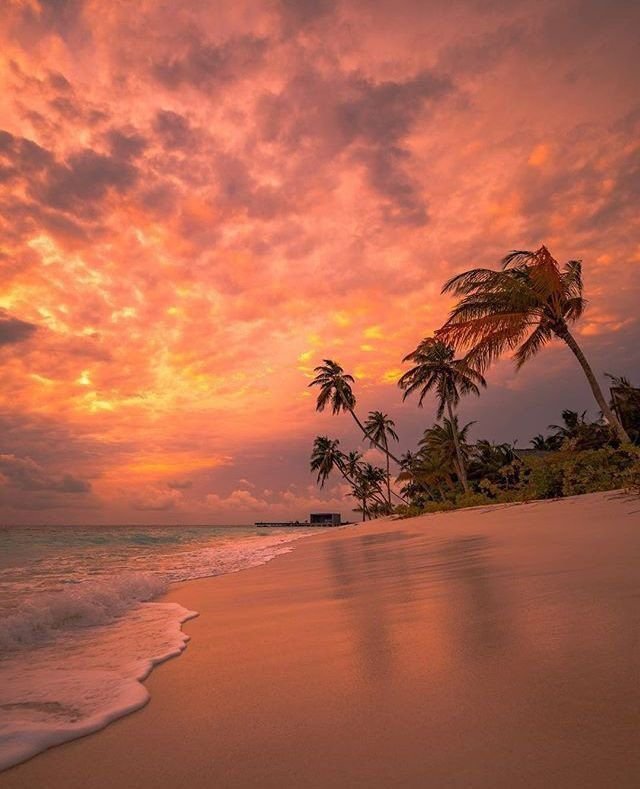 Beach Download Wallpapers