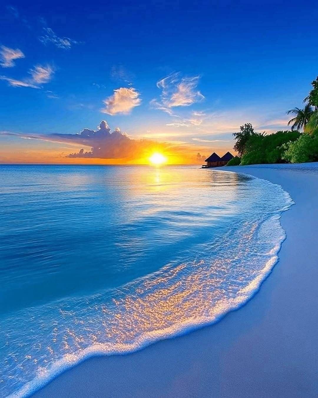 Sea Shore Download Wallpapers