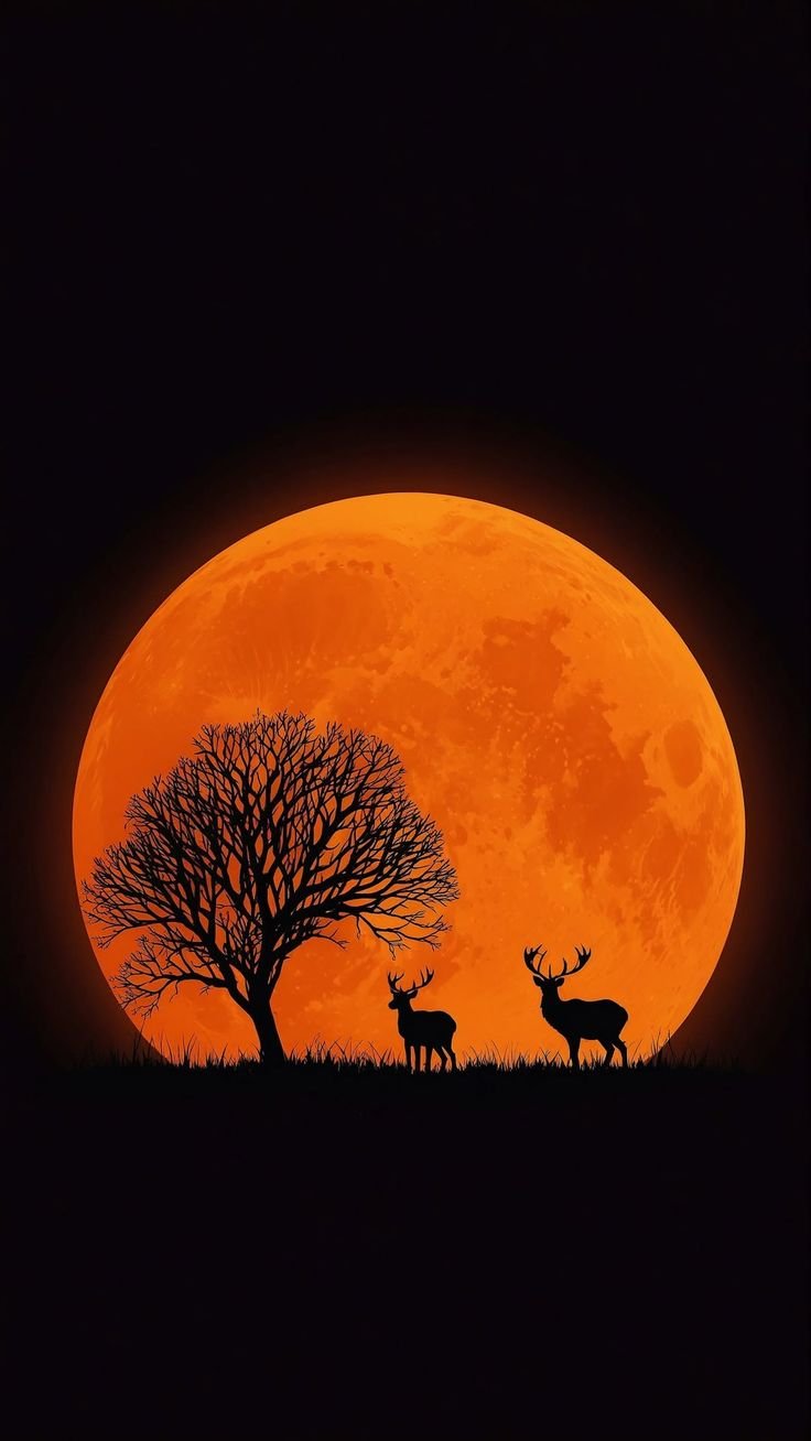 Dear in the sunset Download Wallpapers