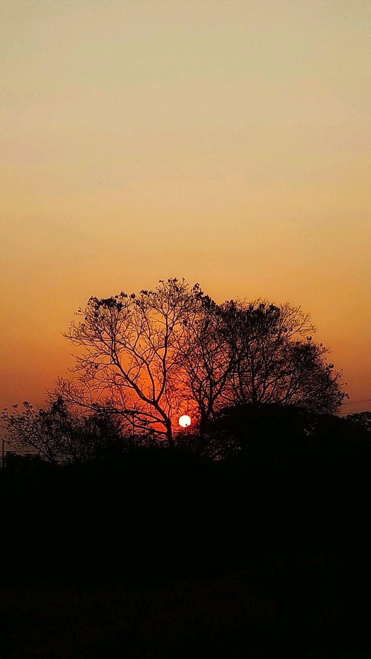 Sunset Download Wallpapers