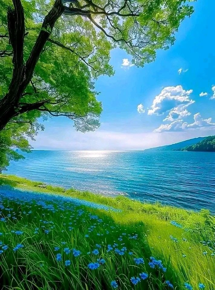 Spring Download Wallpapers
