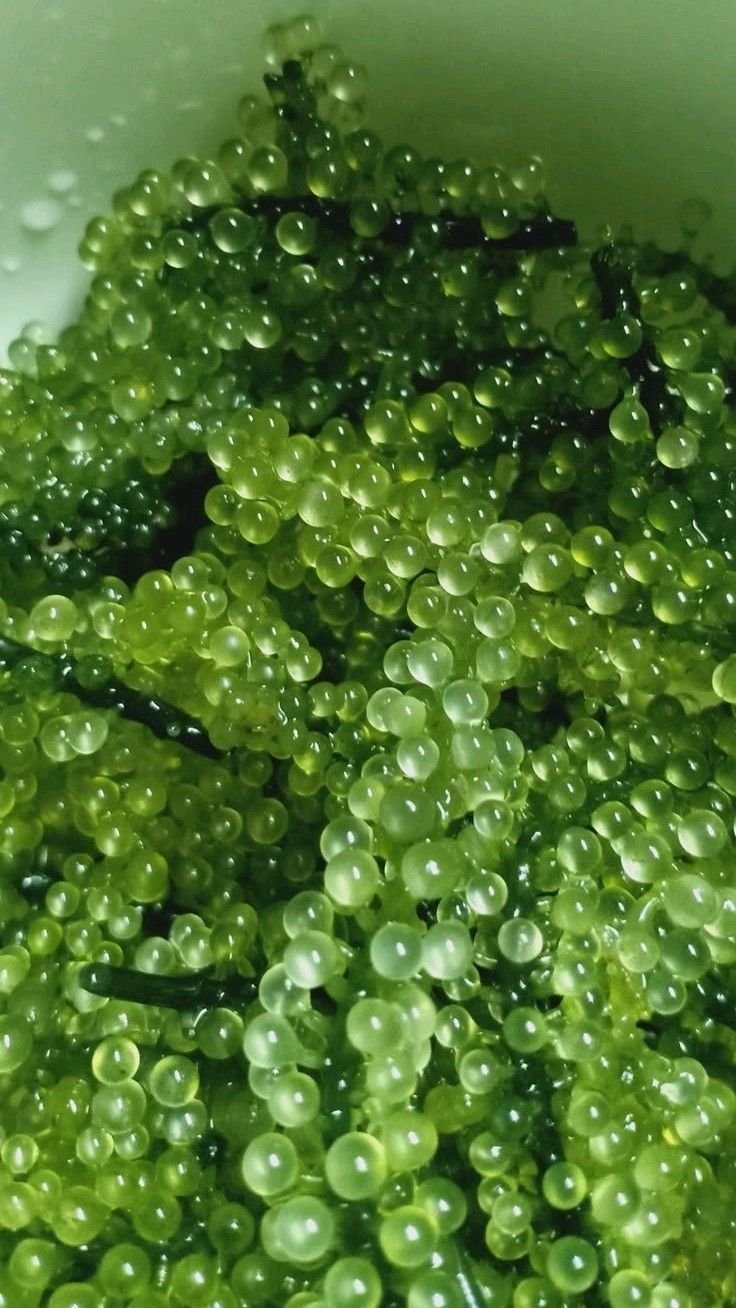 Bubbles Download Wallpapers