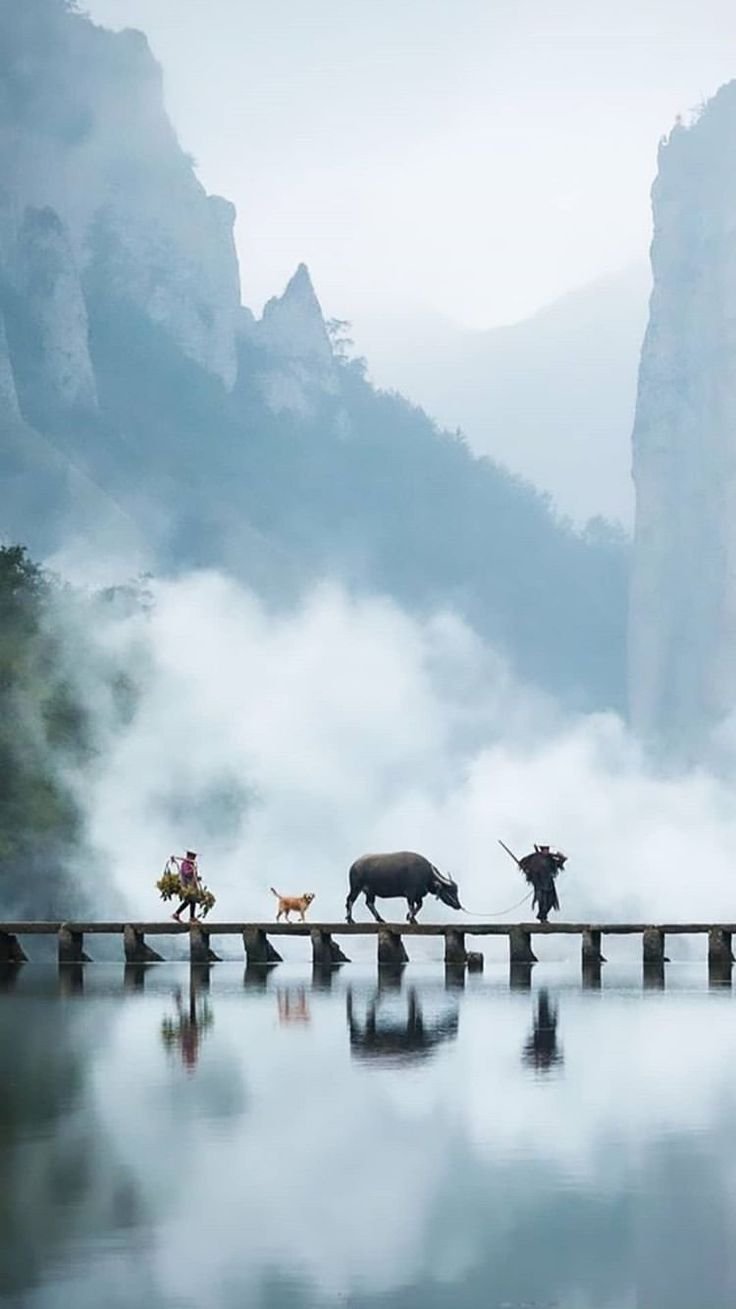 Animals on a bridge Download Wallpapers