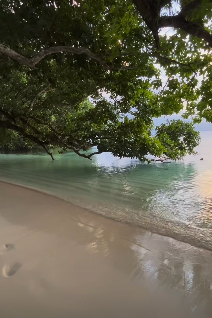 Beach Download Wallpapers