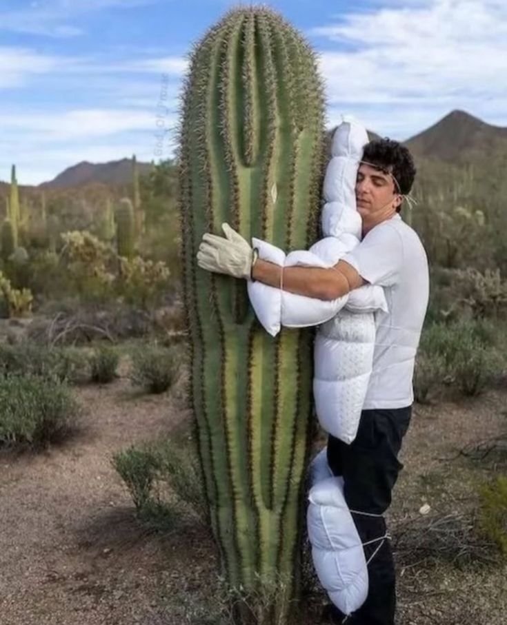 Hugging Cactus Download Wallpapers