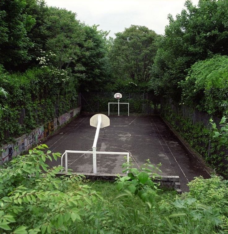 Forest court Download Wallpapers