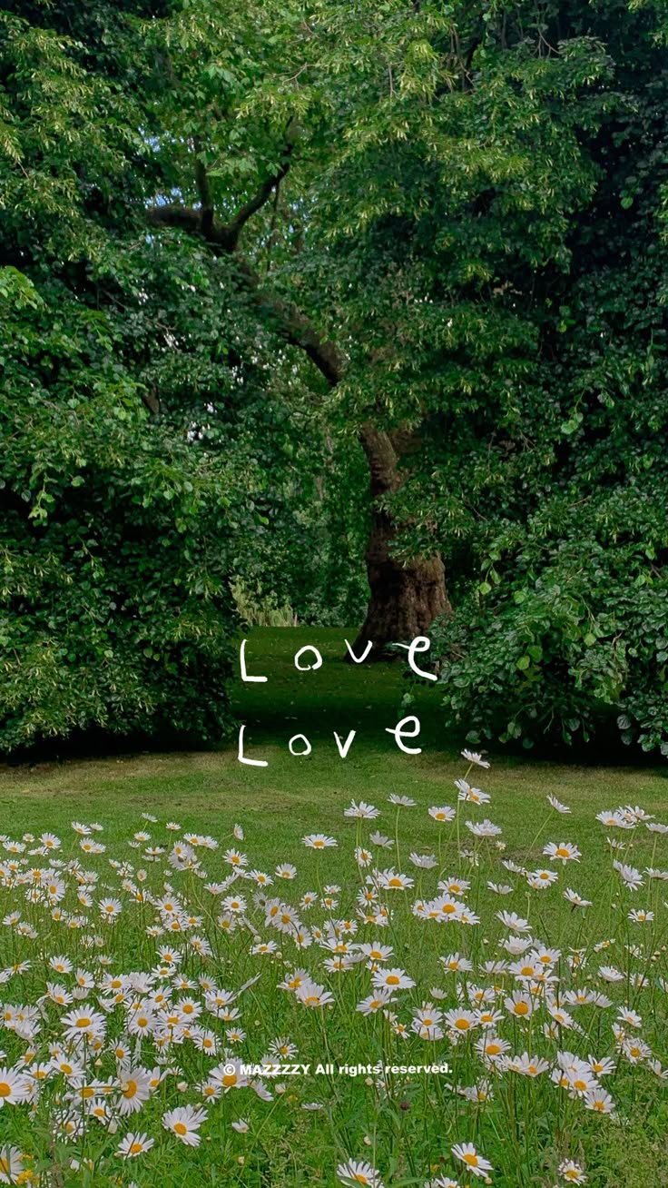Love Download Wallpapers