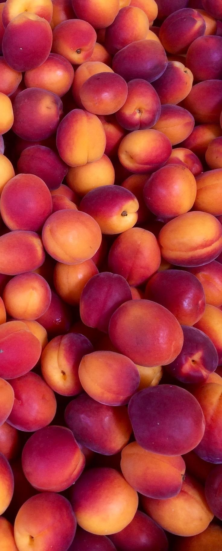 Fruits wallpaper Download Wallpapers