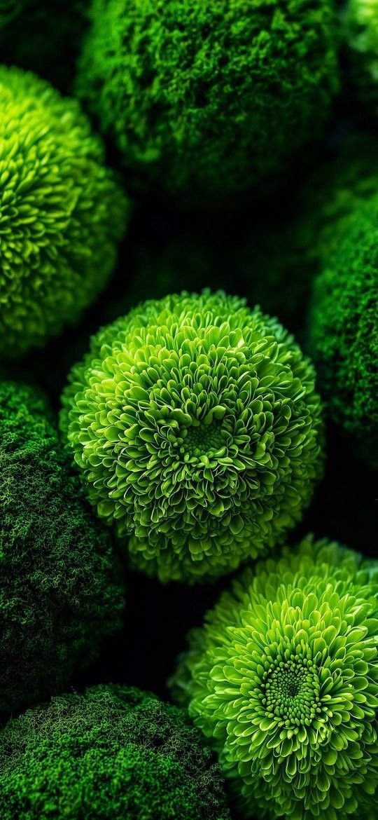 Grass abstract Design wallpaper download