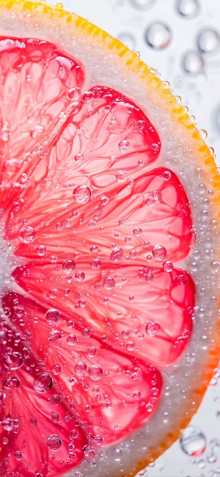 Orange slice 2025 wallpaper Download